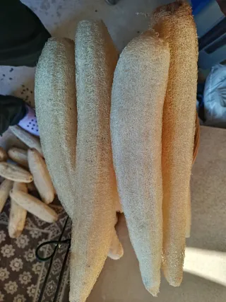 Pack 2 esponjas vegetales luffa