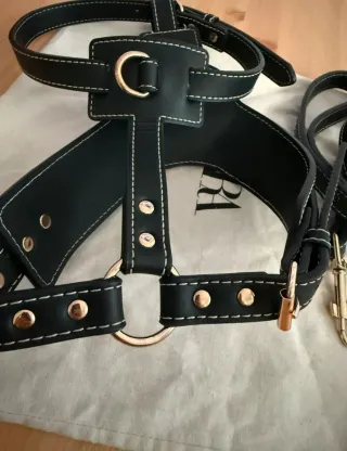 Arnés y Correa Christian Lacroix Negro