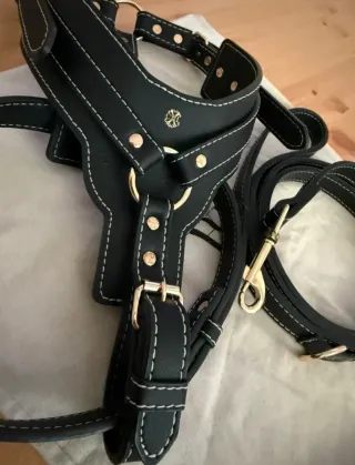 Arnés y Correa Christian Lacroix Negro