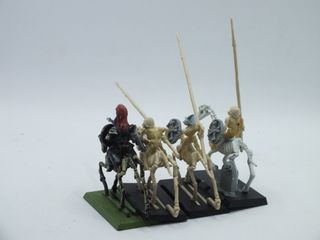 4 cavalieri scheletri conti vampiro non morti WHFB