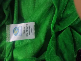 Costumic  di carnevale Fata del Bosco