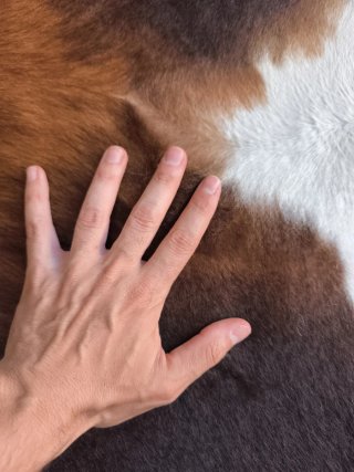 Alfombra piel de Vaca