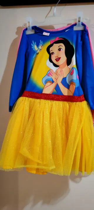 Lote disfraces niña 2-6 años