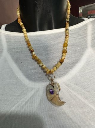 Garra de león con amatista y ámbar