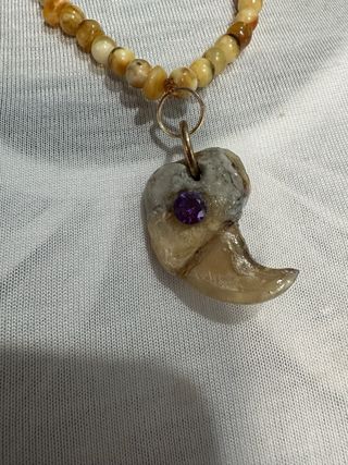 Garra de león con amatista y ámbar