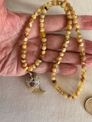 Garra de león con amatista y ámbar