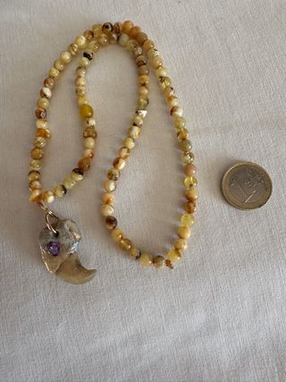 Garra de león con amatista y ámbar