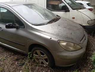 Peugeot 307 2002