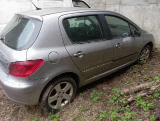 Peugeot 307 2002