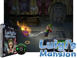 Anbernic Micro SD Kingston 256GB