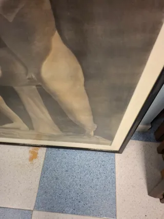 Cuadro de figura clásica enmarcado