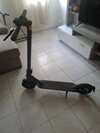 Patinete Eléctrico Xiaomi