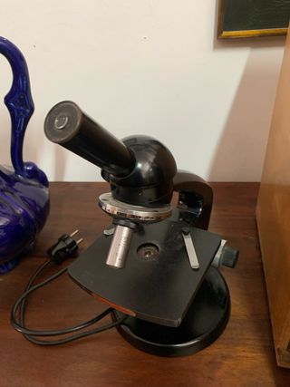 Microscopio vintage anni '50