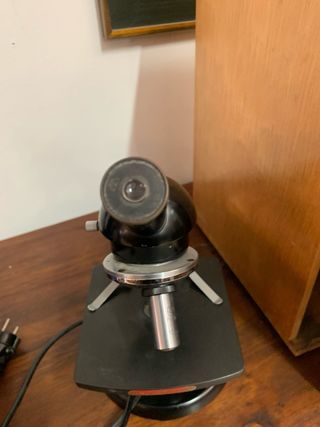 Microscopio vintage anni '50