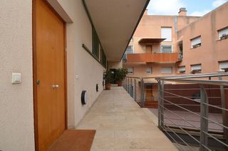 Piso en alquiler en La Seu - Cort - Monti-sión en Palma de Mallorca