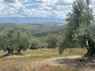 Terreno en venta en Torreperogil