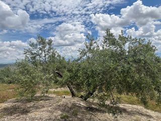 Terreno en venta en Torreperogil