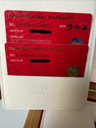 Omega seamaster planet ocean 600m