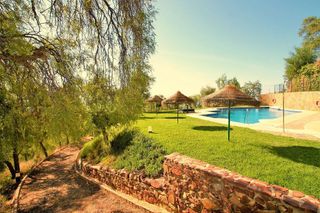 Piso en alquiler en Cerrado Calderón - El Morlaco en Málaga