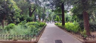 Local comercial en venta en Chorrillo en Alcalá de Henares