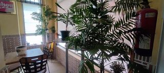 Local comercial en venta en Chorrillo en Alcalá de Henares