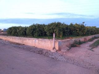 Terreno en venta en Moncada