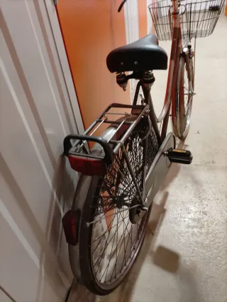 Bicicleta Clásica para Adultos