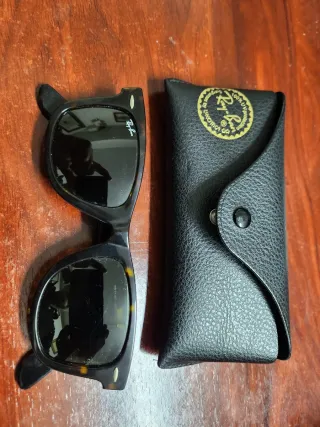 Gafas de sol 10 (Ray-Ban, Boss, Arnette, Persol)