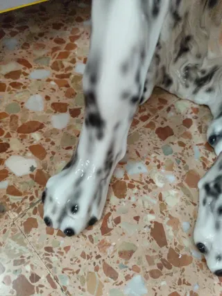 Figura Dálmata Porcelana 80cm