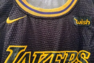 Camiseta Lakers 23