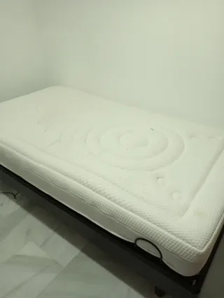 Base Cama Articulada Eléctrica Poco Uso