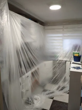 Pintor profesional oferta todo incluido Aprovecha