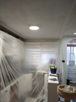 Pintor profesional oferta todo incluido Aprovecha