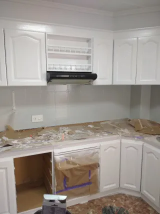 Pintor profesional oferta todo incluido Aprovecha