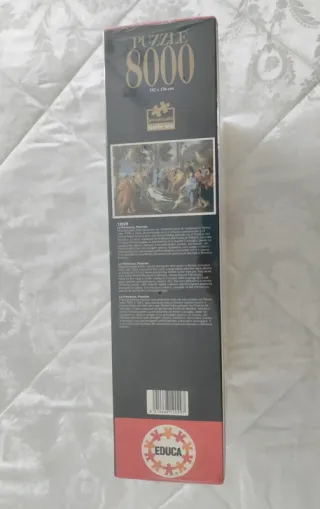Puzzle 8000 pezzi Educa Le Parnasse