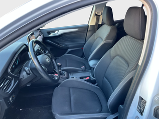 Focus  - DESDE 185€/MES ¡SIN PAGAR ENTRADA!