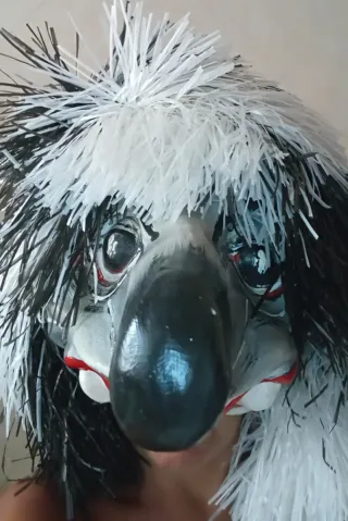 Maschera e costume carnevale i Waggis.