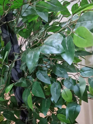 Árbol Ficus Artificial 160 cm