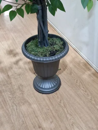 Árbol Ficus Artificial 160 cm