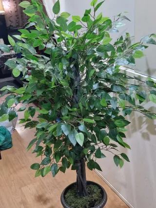 Árbol Ficus Artificial 160 cm