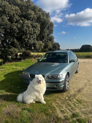 BMW Serie 330xd (acepto cambios)