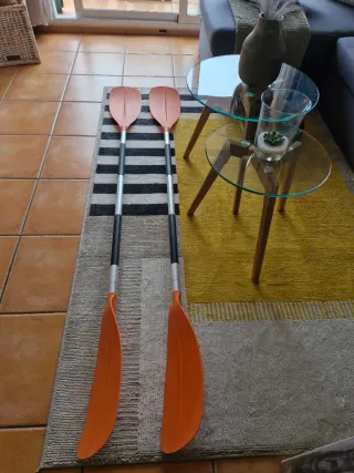 Remos rígidos naranjas,el precio es por las dos.