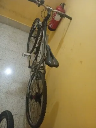 Bicicleta Orbea Master Gris