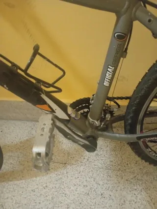 Bicicleta Orbea Master Gris