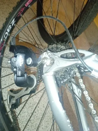 Bicicleta Orbea Master Gris