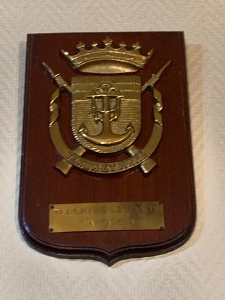 Colección 10 Metopas Militares