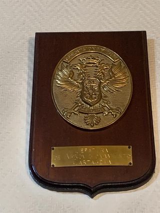 Colección 10 Metopas Militares