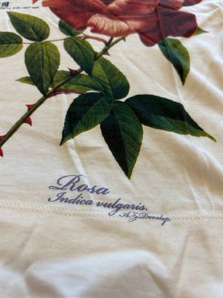 Maglietta ZUELEMENTS manica corta L