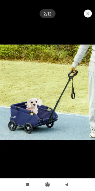 Carro Coche Mascotas Azul