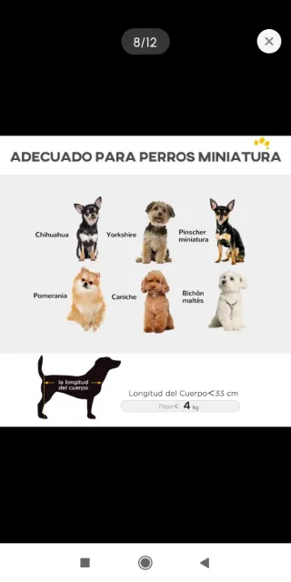 Carro Coche Mascotas Azul